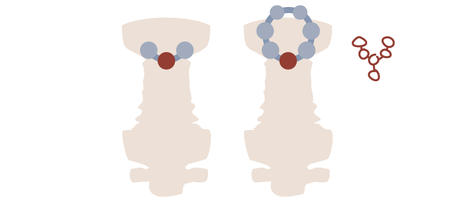 Example diagram of a mental locus configuration