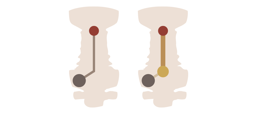Example diagram of a primal locus configuration