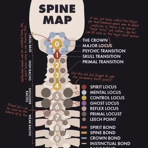 Spine diagram showing the loci, bonds, and transition points.