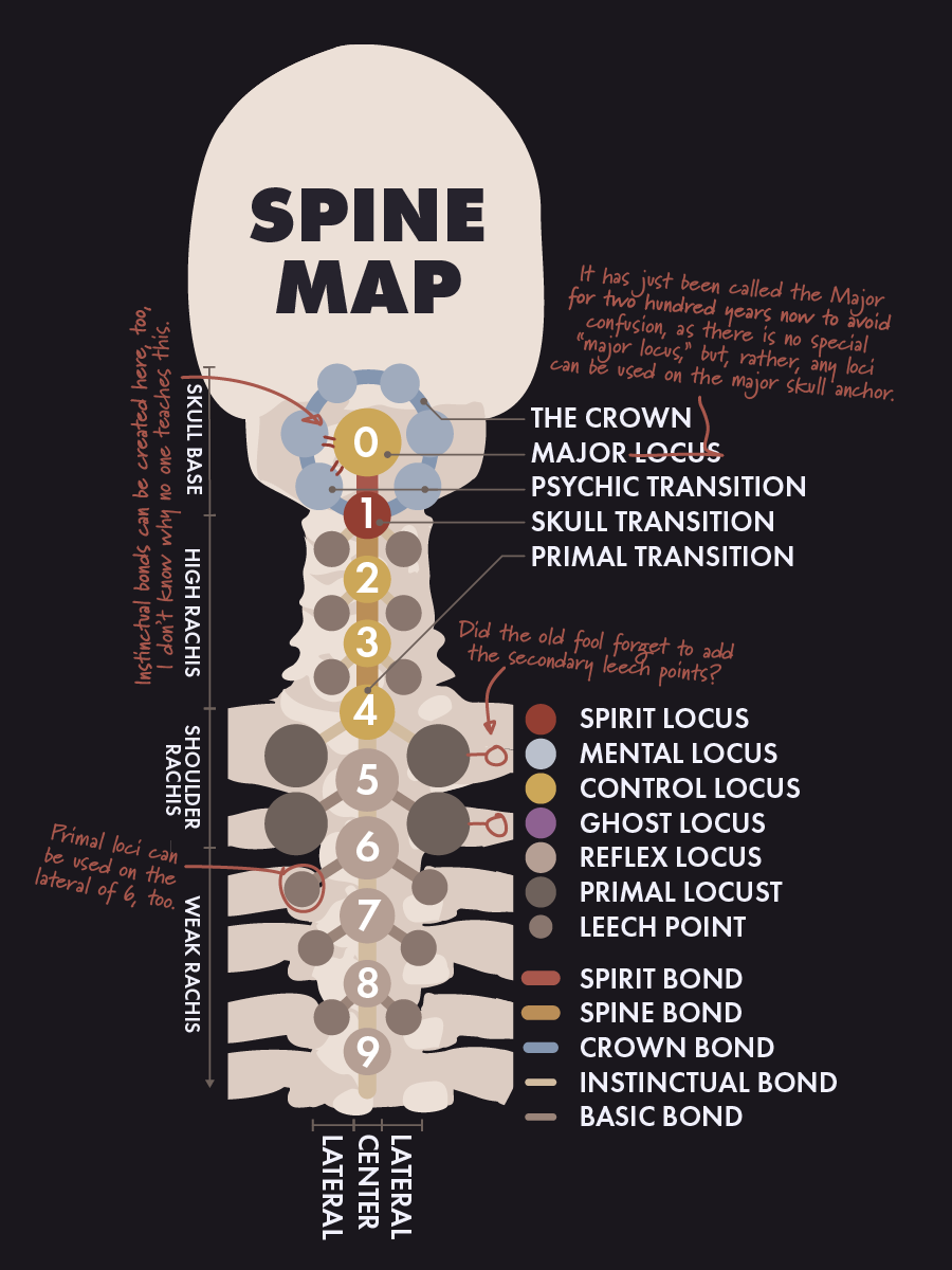 Spine diagram showing the loci, bonds, and transition points.